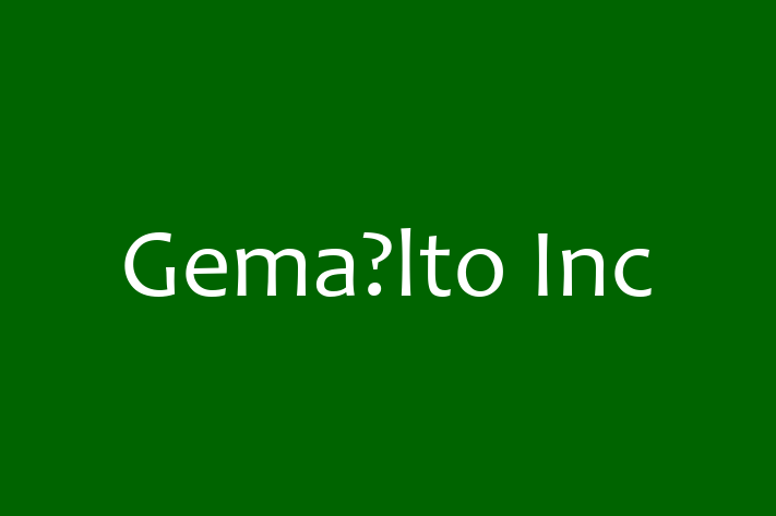 Software Engineering Company Gemalto Inc