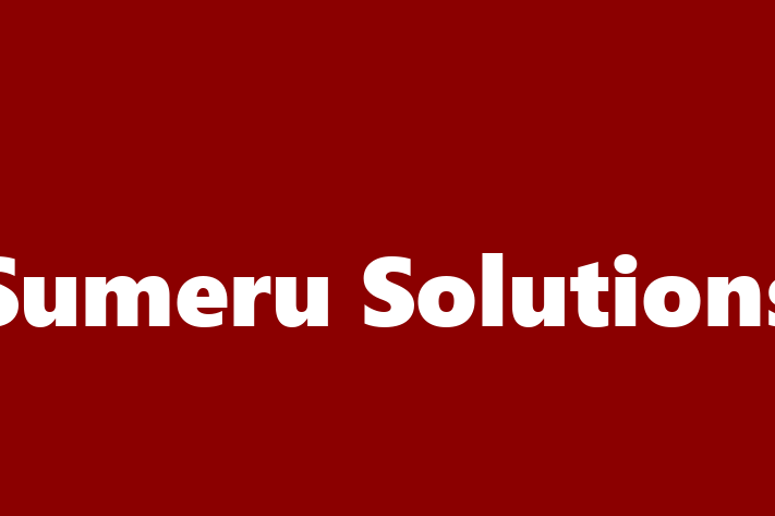 Labor Relations Sumeru Solutions