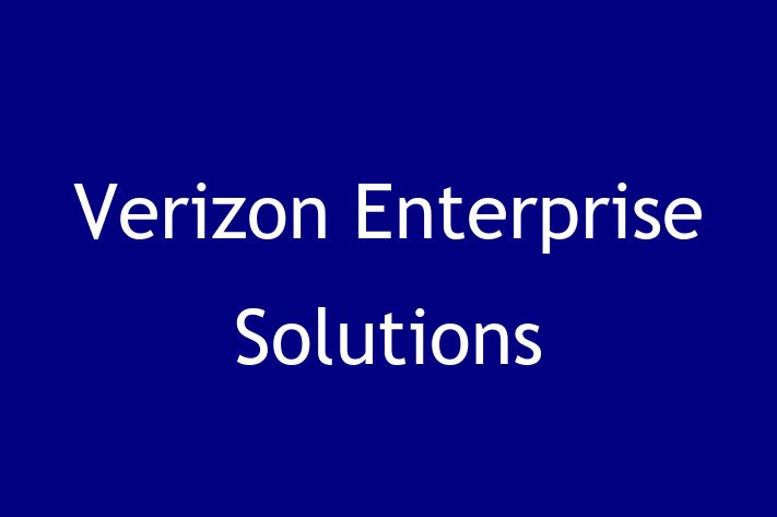 Application Development Company Verizon Enterprise Solutions