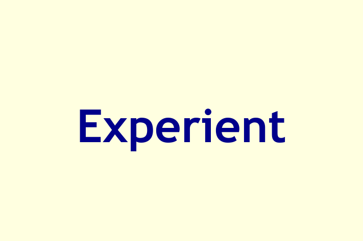 Software Firm Experient