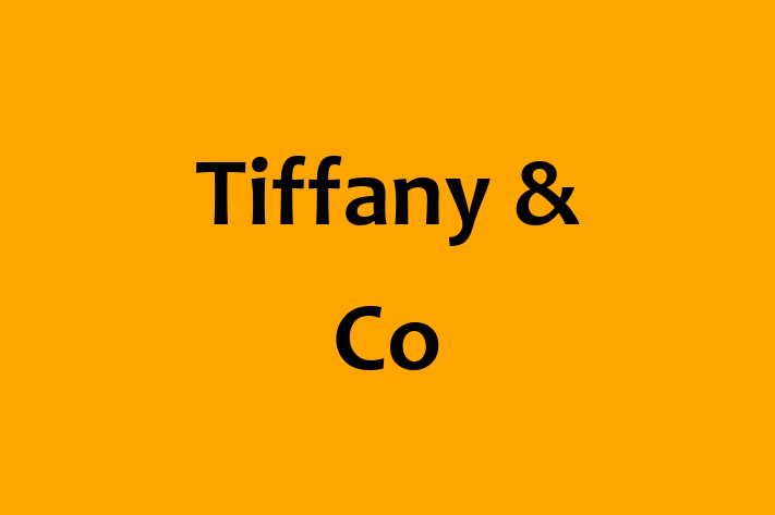 People Management Tiffany Co