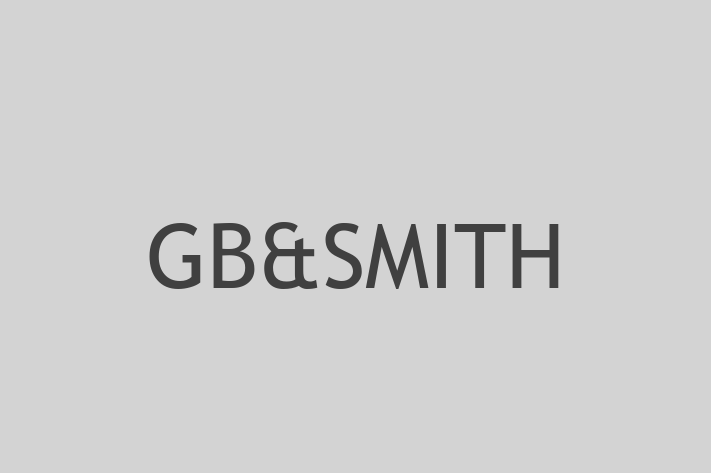 Software Development Firm GBSMITH