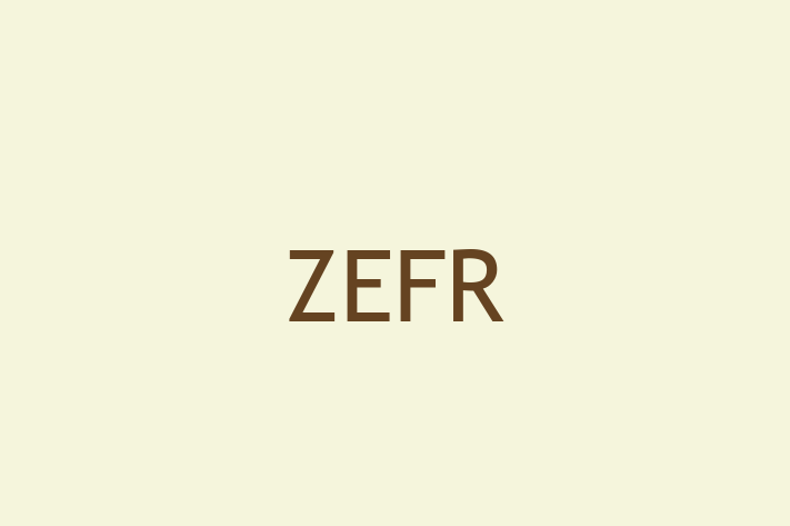 IT Company ZEFR