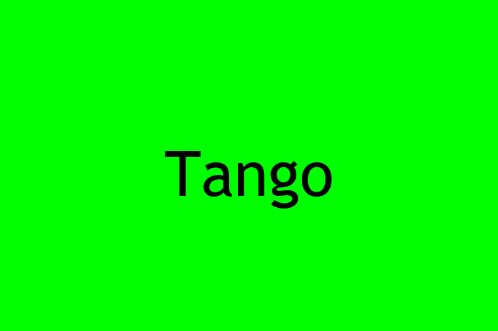 Technology Company Tango