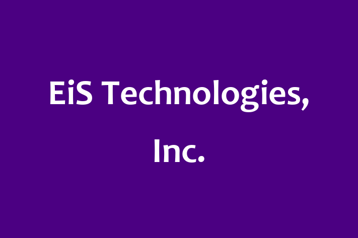 Software Services Company EiS Technologies Inc.