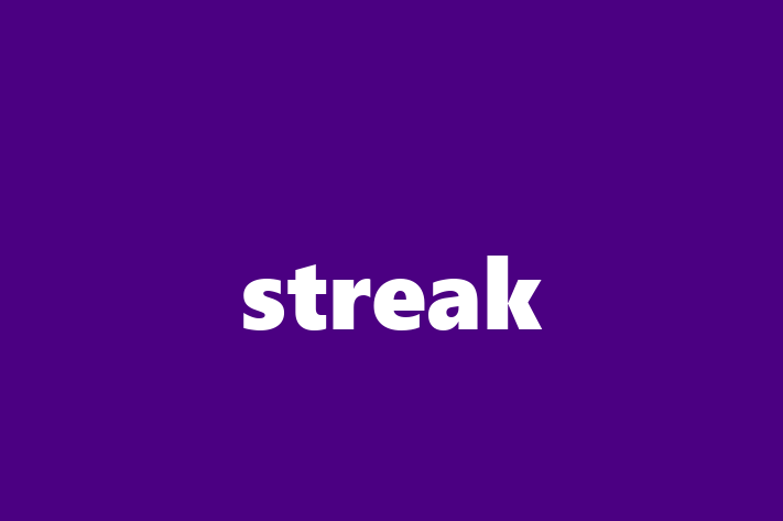 Tech Solutions Company streak