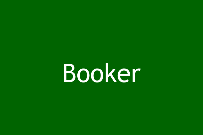 Software Consultancy Booker