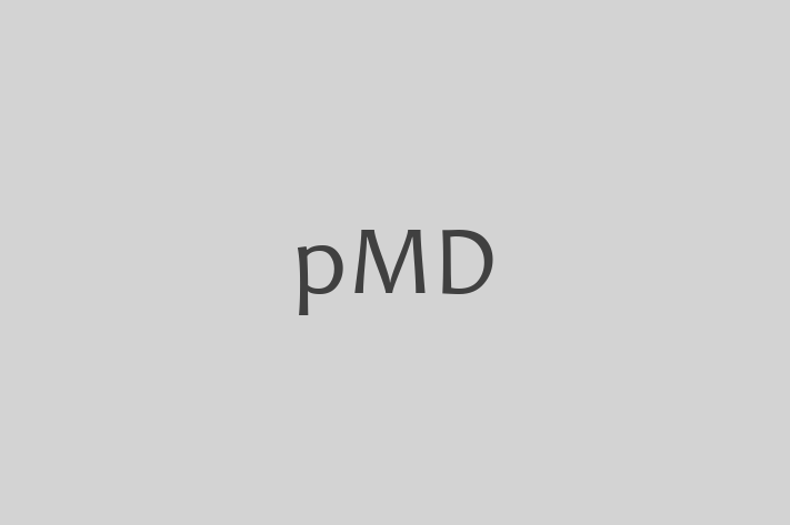 Software Solutions Provider pMD