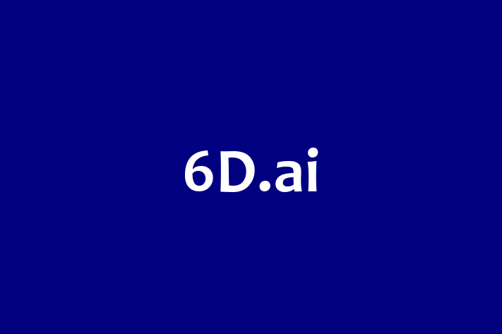 Technology Solutions Firm 6D.ai