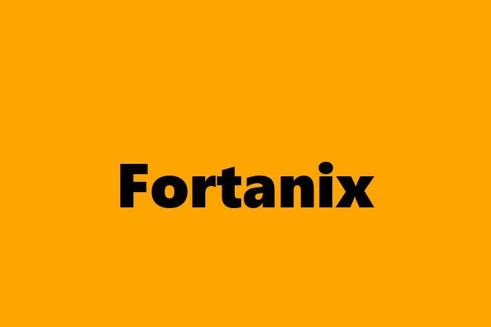 Software Development Firm Fortanix