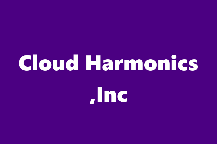 Digital Solutions Provider Cloud Harmonics Inc