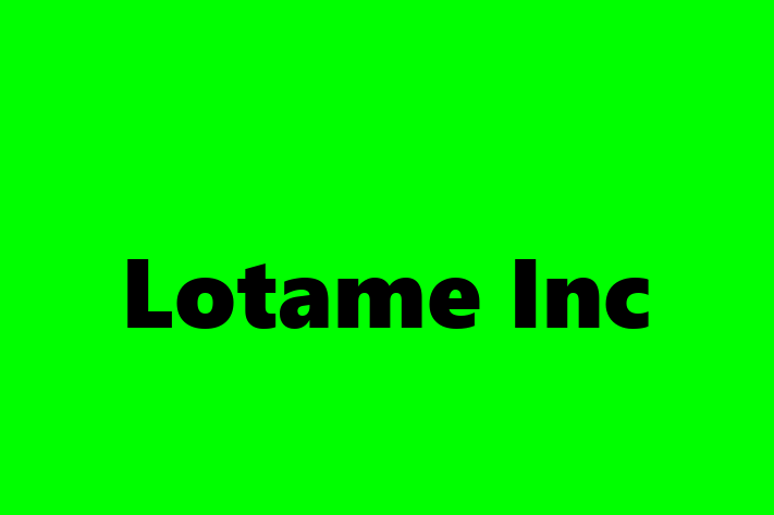 Technology Company Lotame Inc