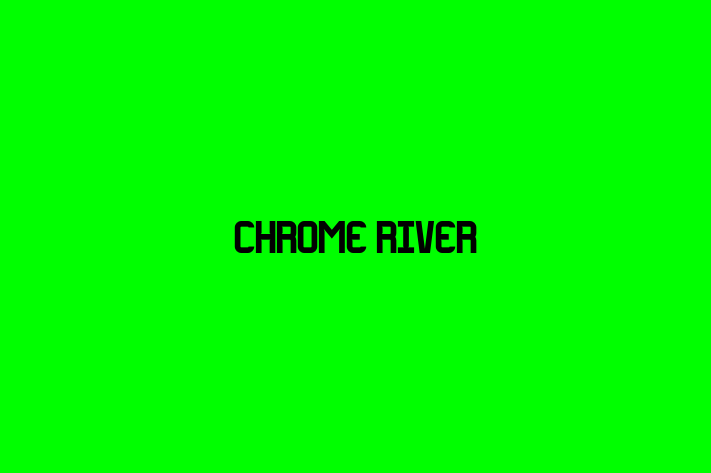 Tech Solutions Company Chrome River