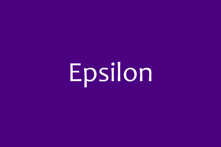 Software Firm Epsilon