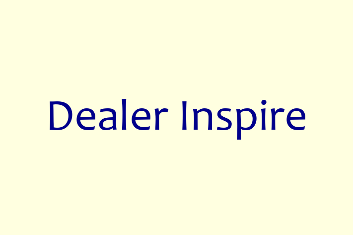 Application Development Company Dealer Inspire