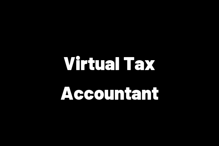 Auditor Virtual Tax Accountant