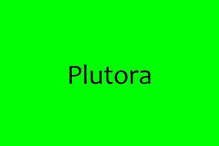 Tech Firm Plutora