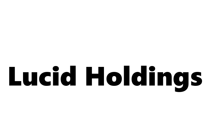 Software Development Company Lucid Holdings