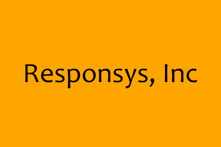 Application Development Company Responsys Inc