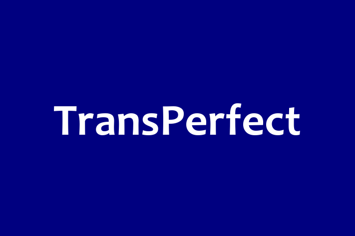 IT Company TransPerfect