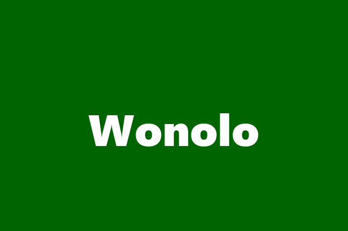 Software Development Company Wonolo