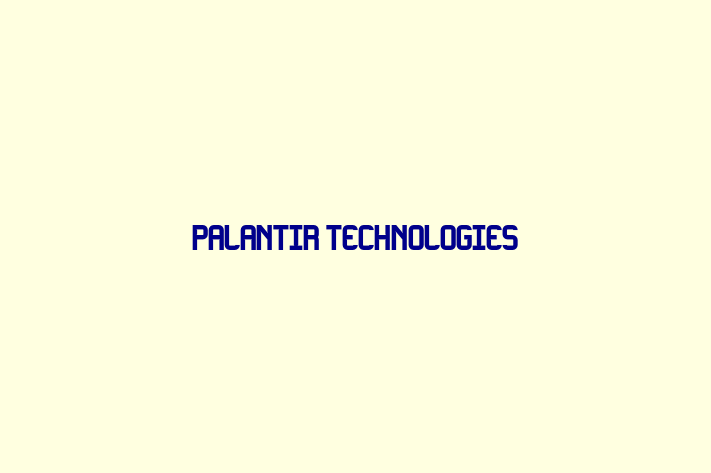 Digital Solutions Provider Palantir Technologies