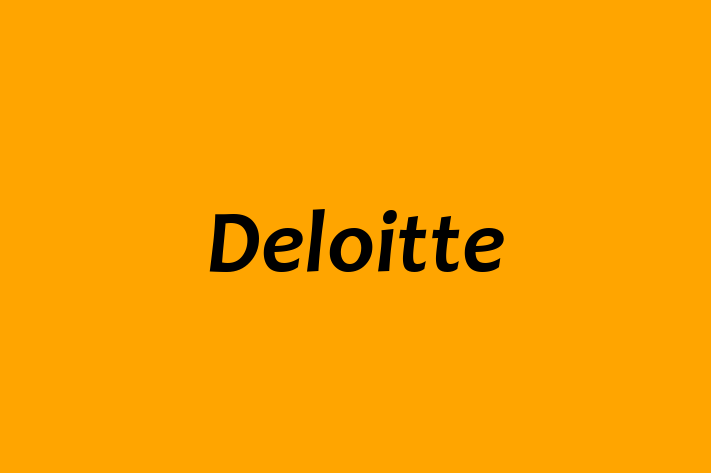 Workforce Management Deloitte