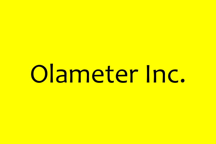 Tech Solutions Company Olameter Inc.