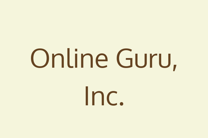 Software Solutions Provider Online Guru Inc.