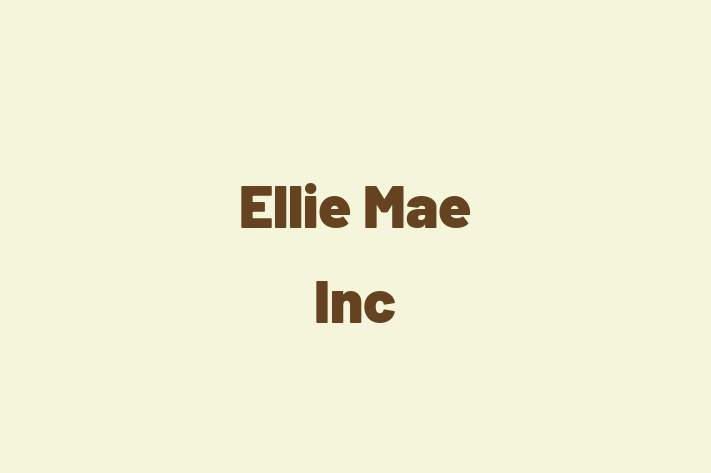 Software Solutions Provider Ellie Mae Inc