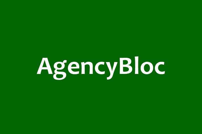 Software Development Company AgencyBloc