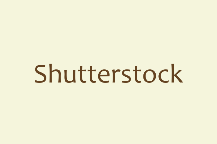 Technology Solutions Firm Shutterstock