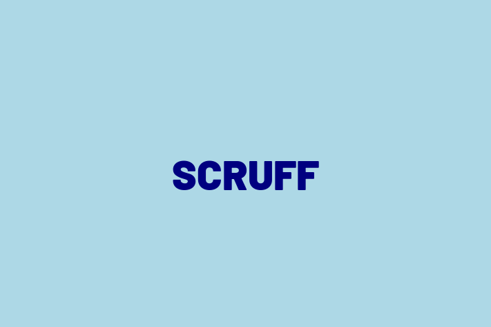 Digital Solutions Provider SCRUFF