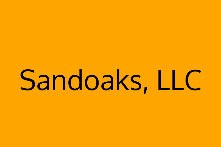 Application Development Company Sandoaks LLC