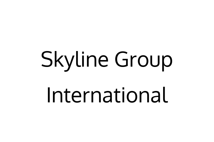 Software Consultancy Skyline Group International