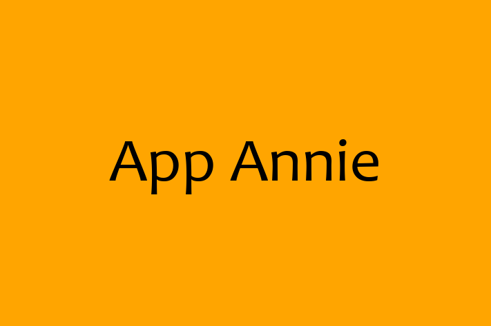 Software Consultancy App Annie