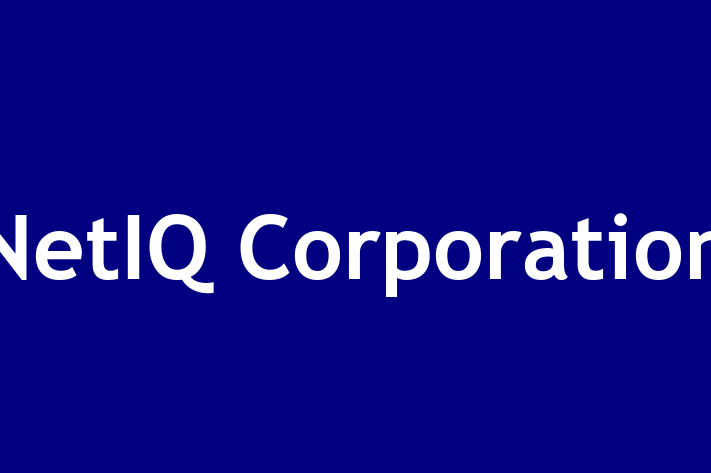 Software Consultancy NetIQ Corporation