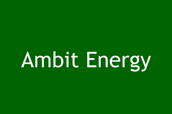 Tech Solutions Company Ambit Energy