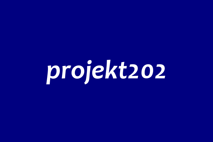 Digital Solutions Provider projekt202