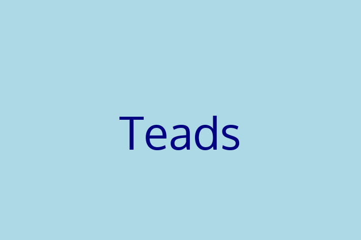 Software Development Firm Teads