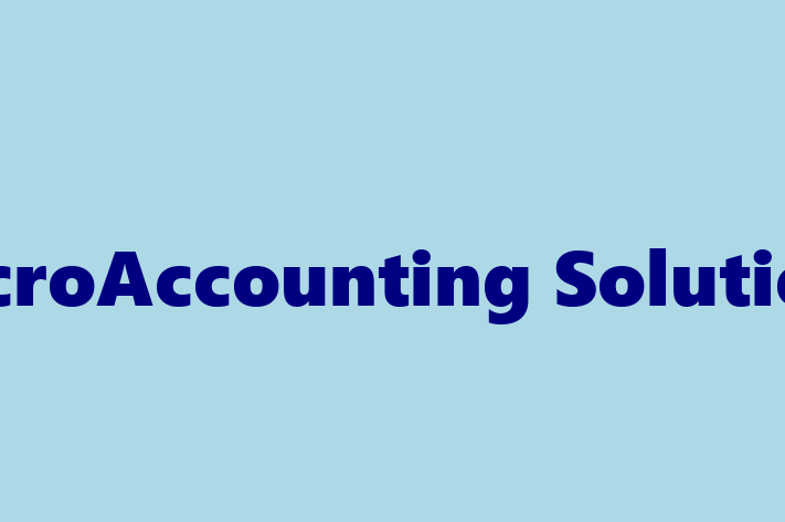 Software Development Company MicroAccounting Solutions