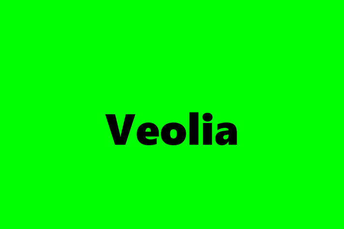 Software Services Company Veolia