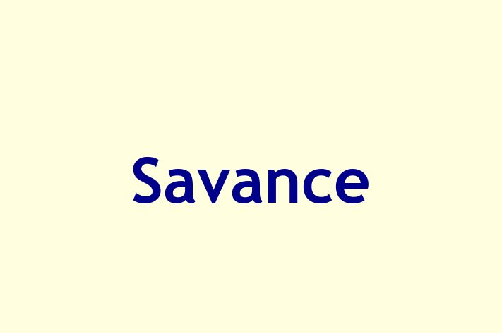 Digital Solutions Provider Savance