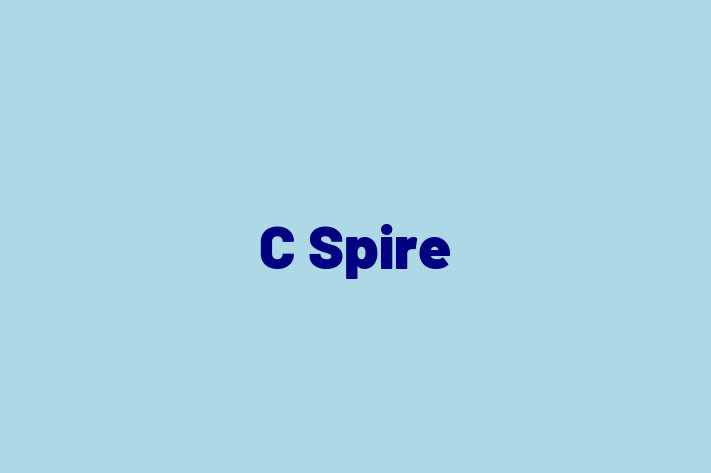 Application Development Company C Spire