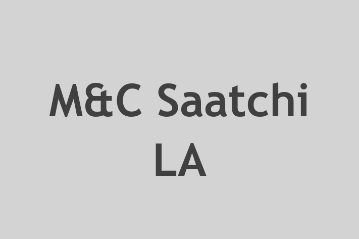 Tech Solutions Company MC Saatchi LA