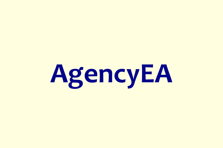 Digital Solutions Provider AgencyEA