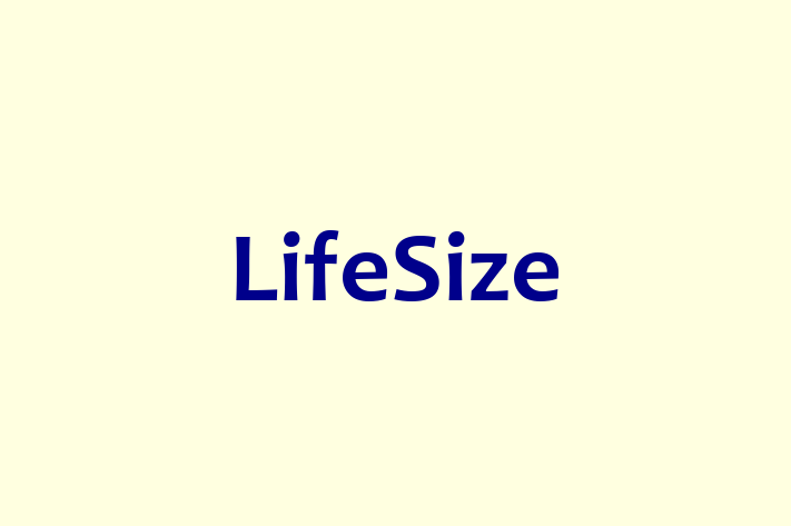 Software Services Company LifeSize