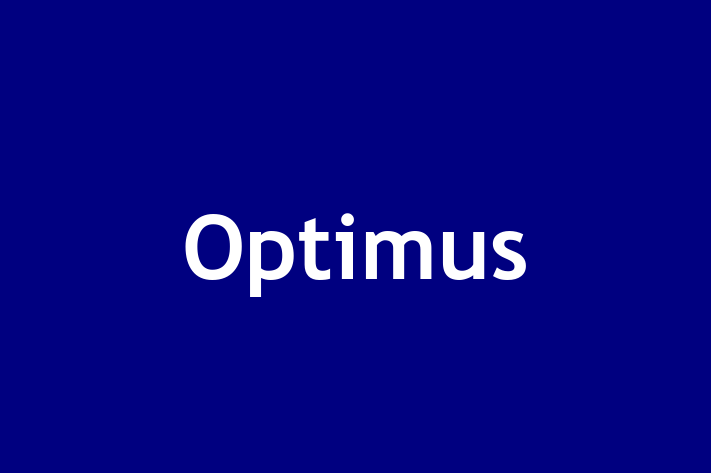 Tech Firm Optimus