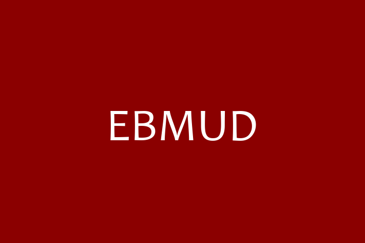 Software Development Company EBMUD