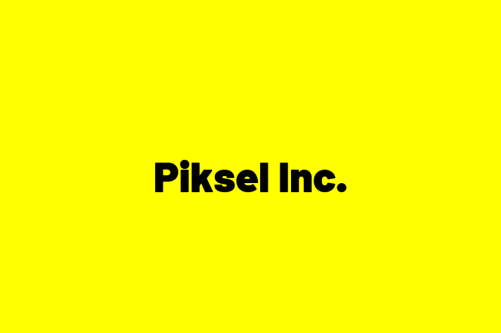 IT Company Piksel Inc.